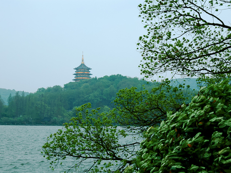 人文杭州，父母們來了！河南礦山第十三屆孝文化感恩旅游節第三站